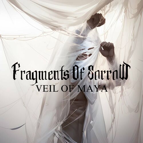 FRAGMENTS OF SORROW - Veil Of Maya cover 