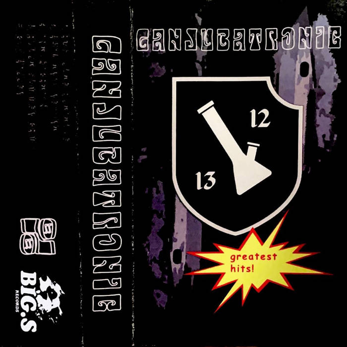 GANJUBATRONIC - Greatest Hits cover 