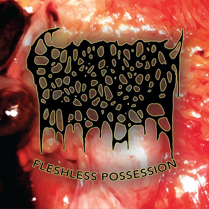 GENOPHOBIC PERVERSION - Fleshless Possession cover 