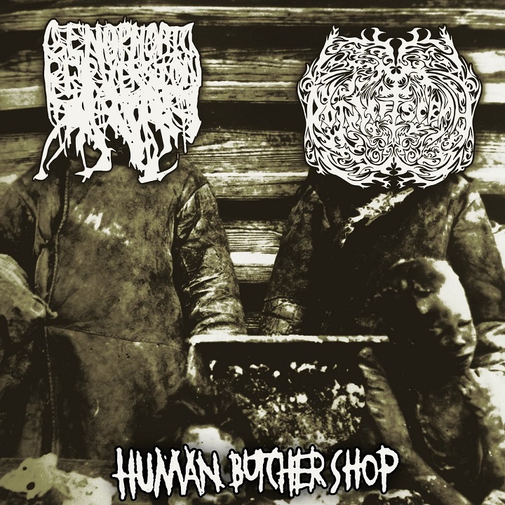 GENOPHOBIC PERVERSION - Human Butcher Shop cover 