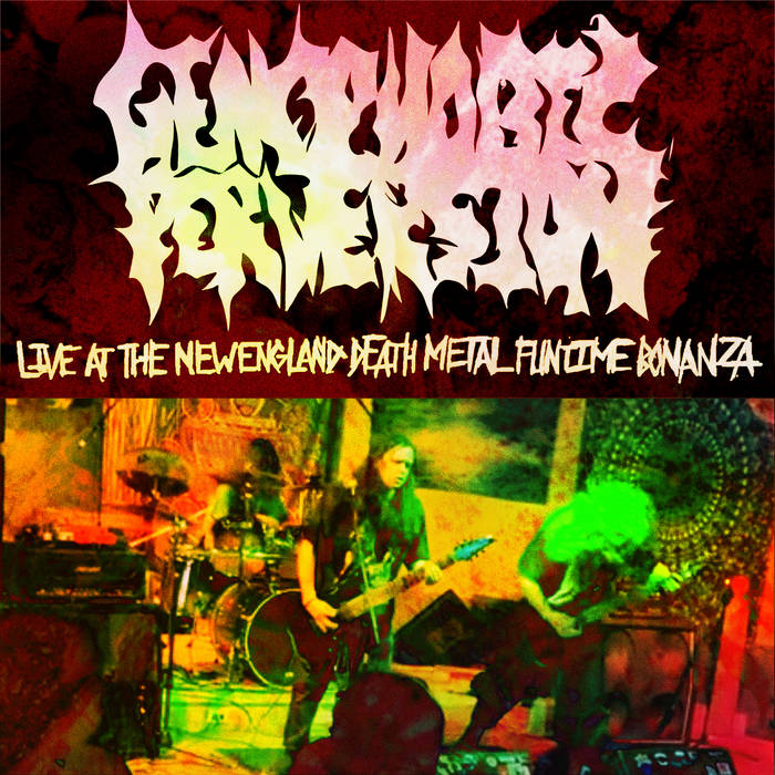 GENOPHOBIC PERVERSION - Live At The New England Death Metal Funtime Bonanza cover 