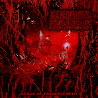 GENOPHOBIC PERVERSION - Nexus Of Engorgement cover 