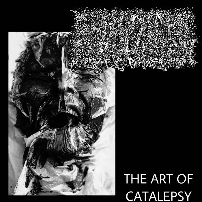 GENOPHOBIC PERVERSION - The Art Of Catalepsy cover 