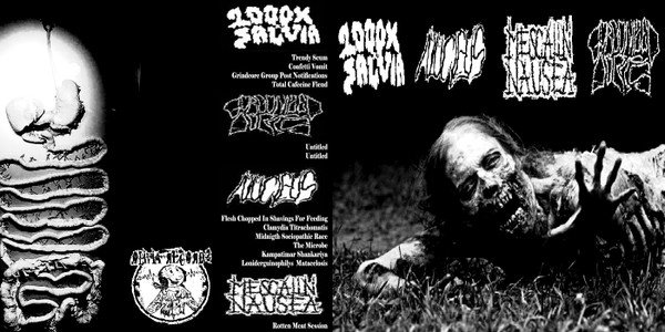 GORGONIZED DORKS - 1000x Salvia/Gorgonized Dorks/Nucleus/Mescalin Nausea cover 