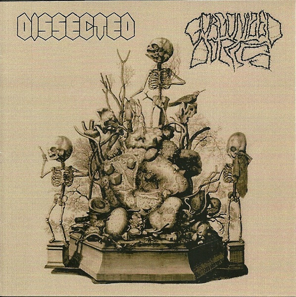 GORGONIZED DORKS - Dissected / Gorgonized Dorks cover 