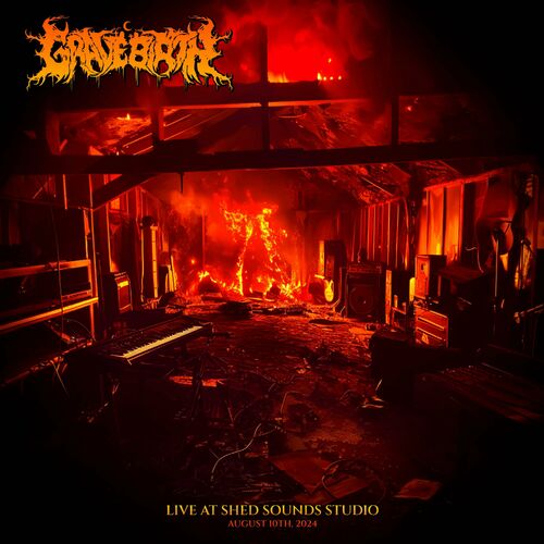 GRAVEBIRTH - Live At Shed Sounds Studio cover 