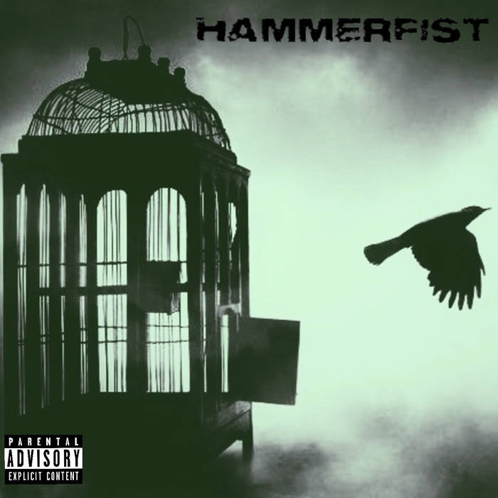 HAMMERFIST (CT-2) - The Cage cover 