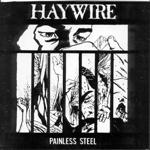 HAYWIRE - Painless Steel cover 