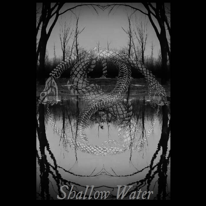 HERETIC TEMPLE - Shallow Water cover 