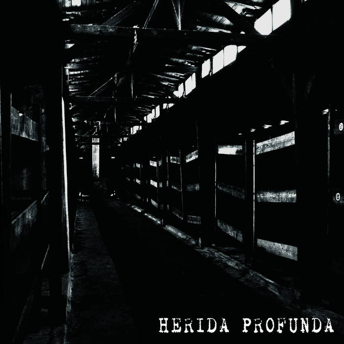 HERIDA PROFUNDA - Herida Profunda cover 