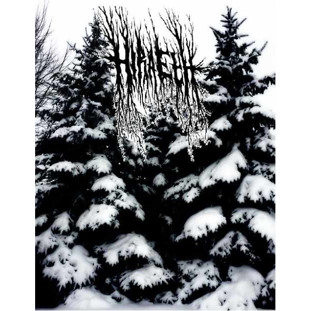 HIRAETH (NY) - Demo cover 