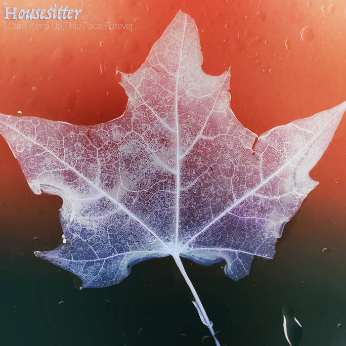 HOUSESITTER - I Can't Keep Up This Pace Forever... cover 