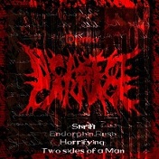 IN CASE OF CARNAGE - Demo 2012 cover 