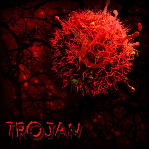 IRIS - Trojan cover 