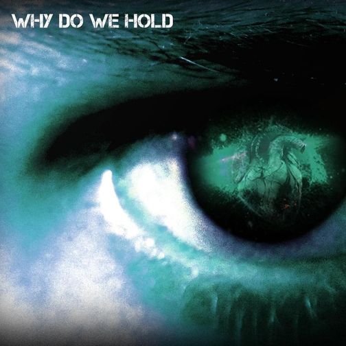 IRIS - Why Do We Hold (Reignite) cover 