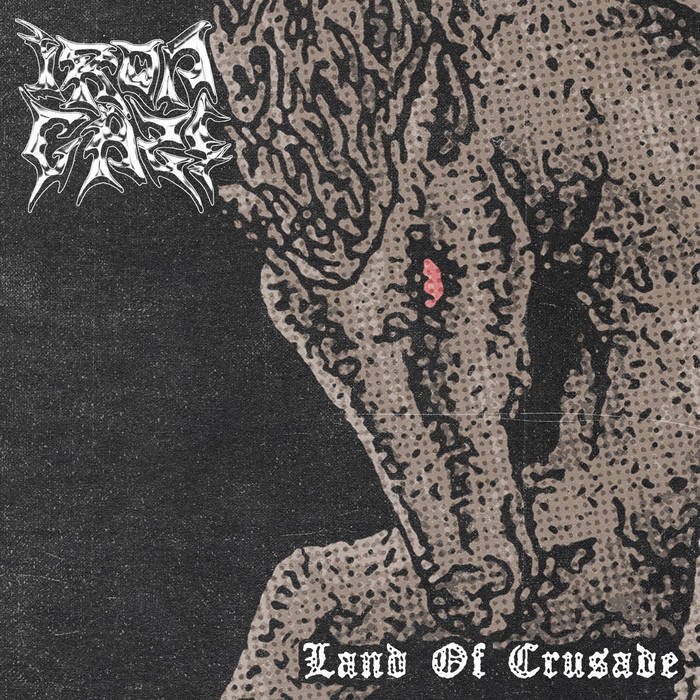 IRON GAZE - Land Of Crusade cover 