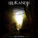 IRUKANDJI - The Virus On Earth cover 