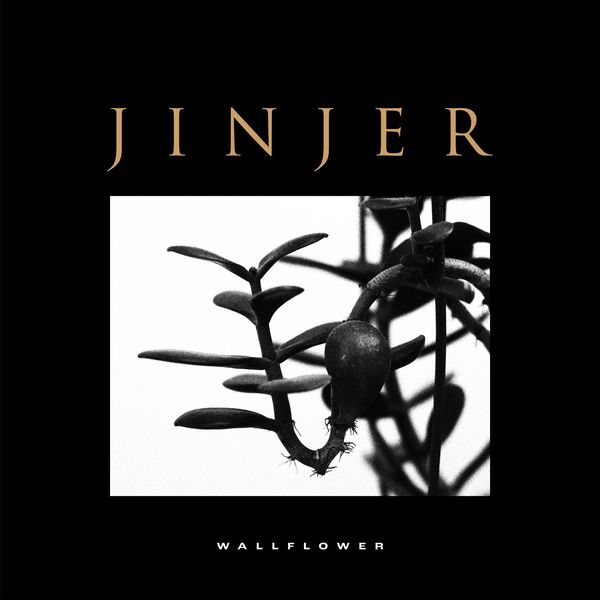 JINJER - Wallflower cover 