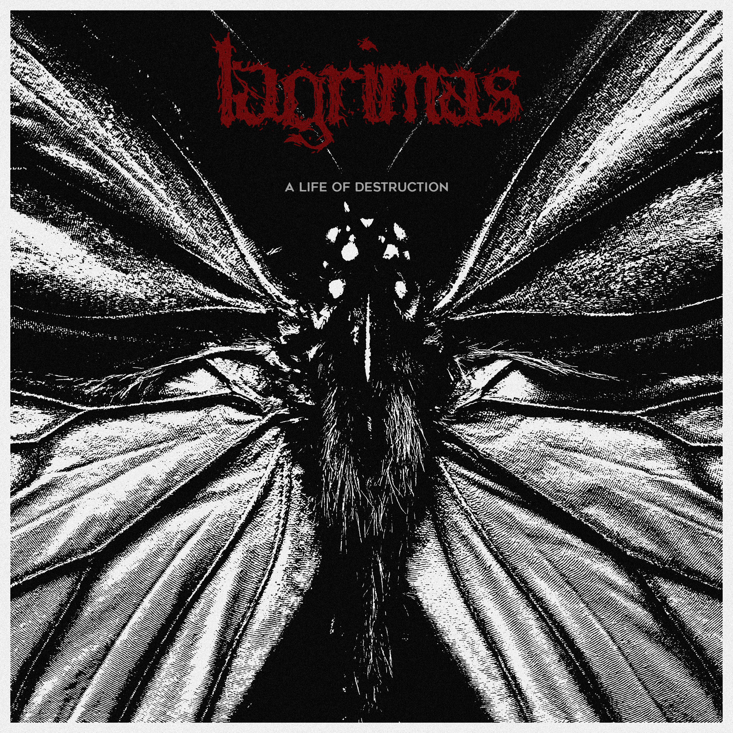 LAGRIMAS - A Life Of Destruction cover 