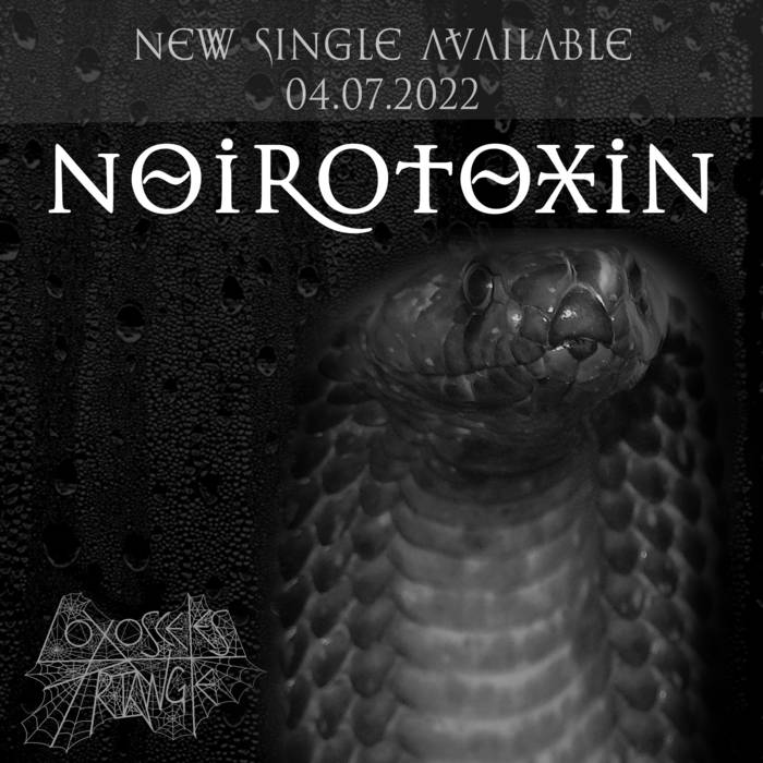 LOXOSCELES TRIANGLE - Noirotoxin cover 