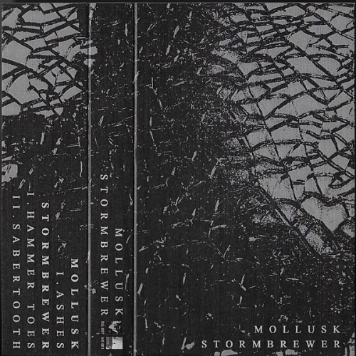 MOLLUSK (OH) - Mollusk / Stormbrewer cover 