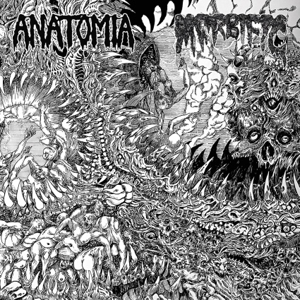 MORBIFIC - Anatomia / Morbific cover 