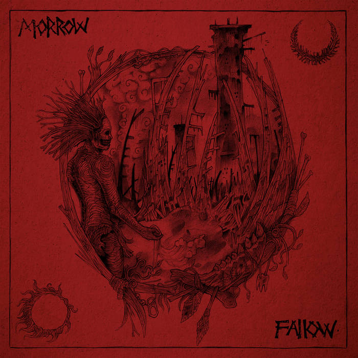 MORROW - Fallow cover 