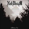 NEBUNAM - A Winter's Tale cover 