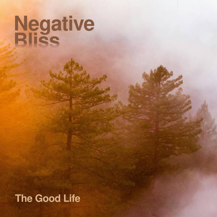 NEGATIVE BLISS - The Good Life cover 