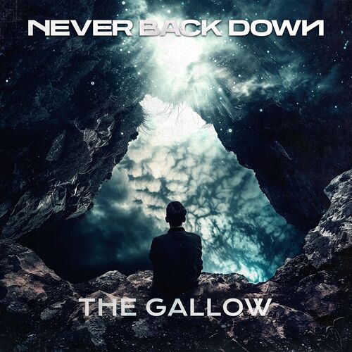 NEVER BACK DOWN - Never Back Down cover 