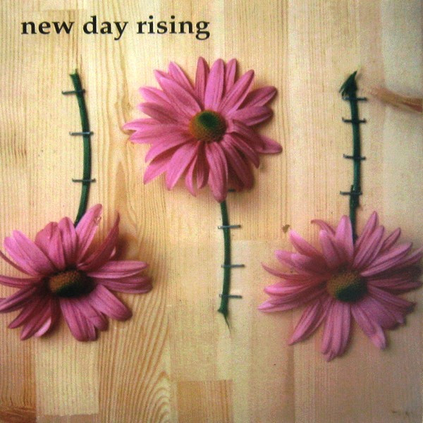 NEW DAY RISING - Despair / New Day Rising cover 