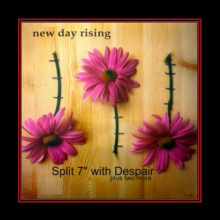 NEW DAY RISING - Split 7