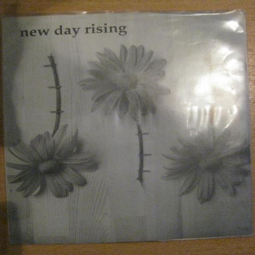 NEW DAY RISING - T.V. Dinners cover 