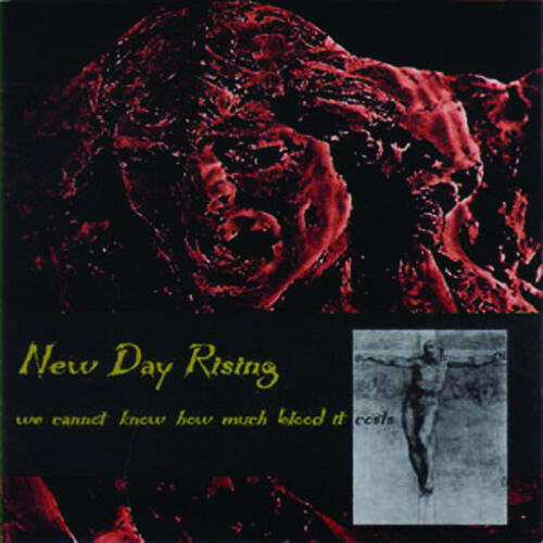 NEW DAY RISING - We Cannot Know How Much Blood It Costs cover 