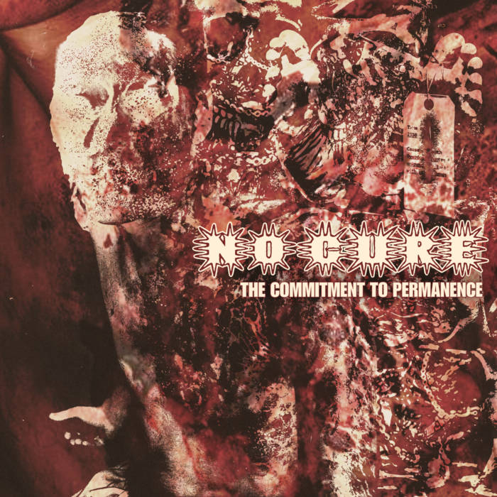 NO CURE - The Commitment To Permanence cover 