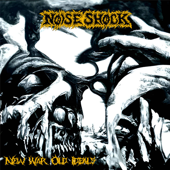 NOISE SHOCK - New War Old Ideals cover 