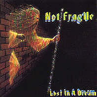 NOT FRAGILE - Lost In A Dream cover 