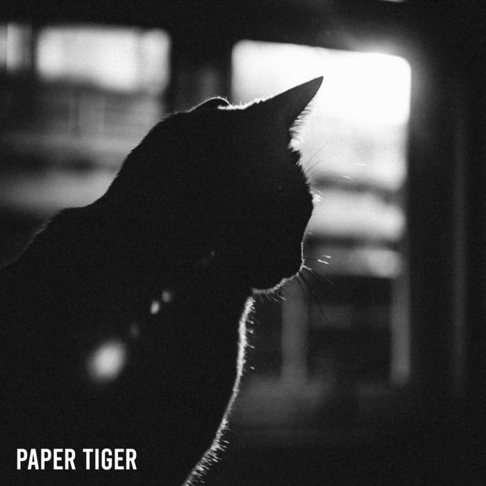 NOTSM - Paper Tiger cover 