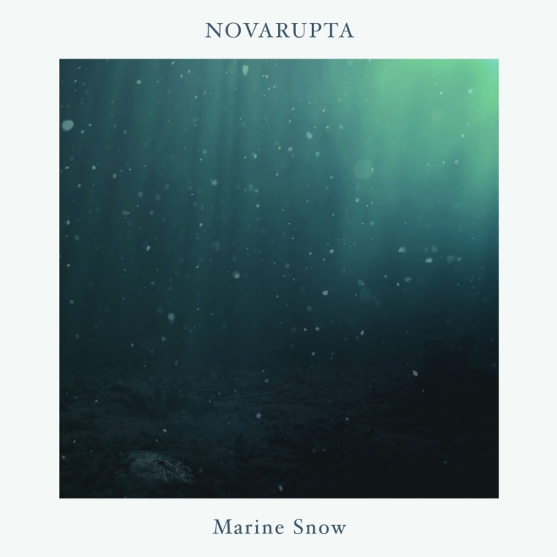 NOVARUPTA - Marine Snow cover 