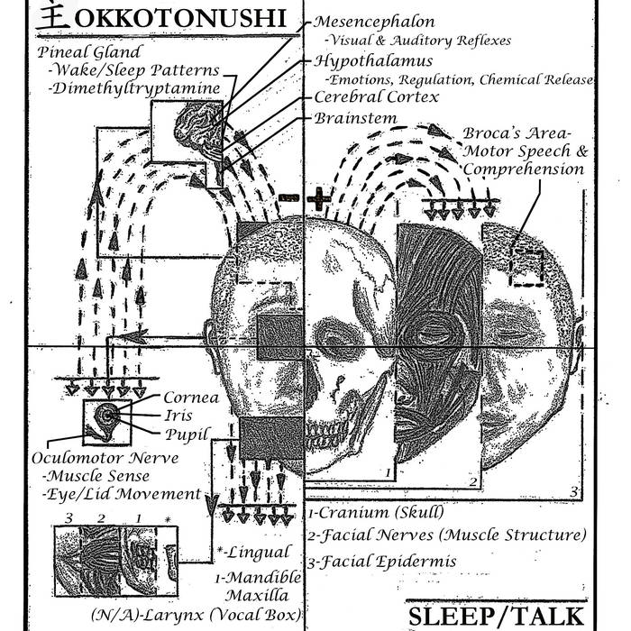 OKKOTONUSHI - Sleep / Talk cover 