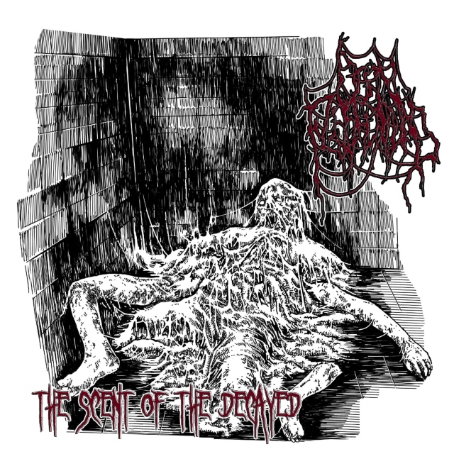 OPEN FLESH WOUND - The Scent of the Decayed cover 