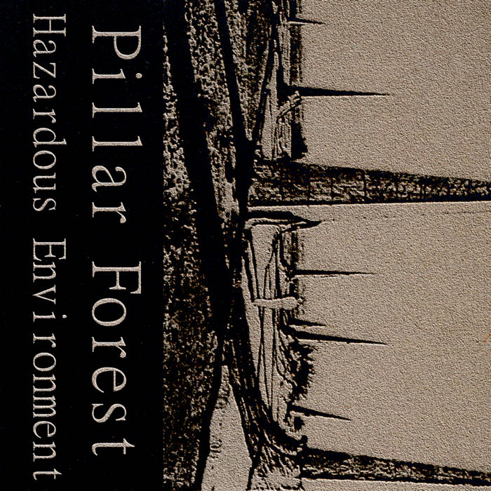 PILLAR FOREST - Hazardous Environment cover 