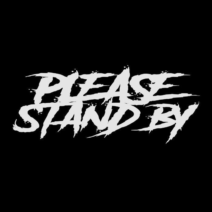 PLEASE...STAND BY - B​.​L​.​M cover 