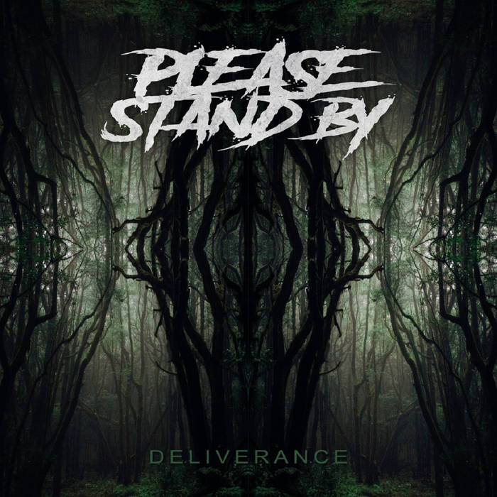 PLEASE...STAND BY - Deliverance cover 