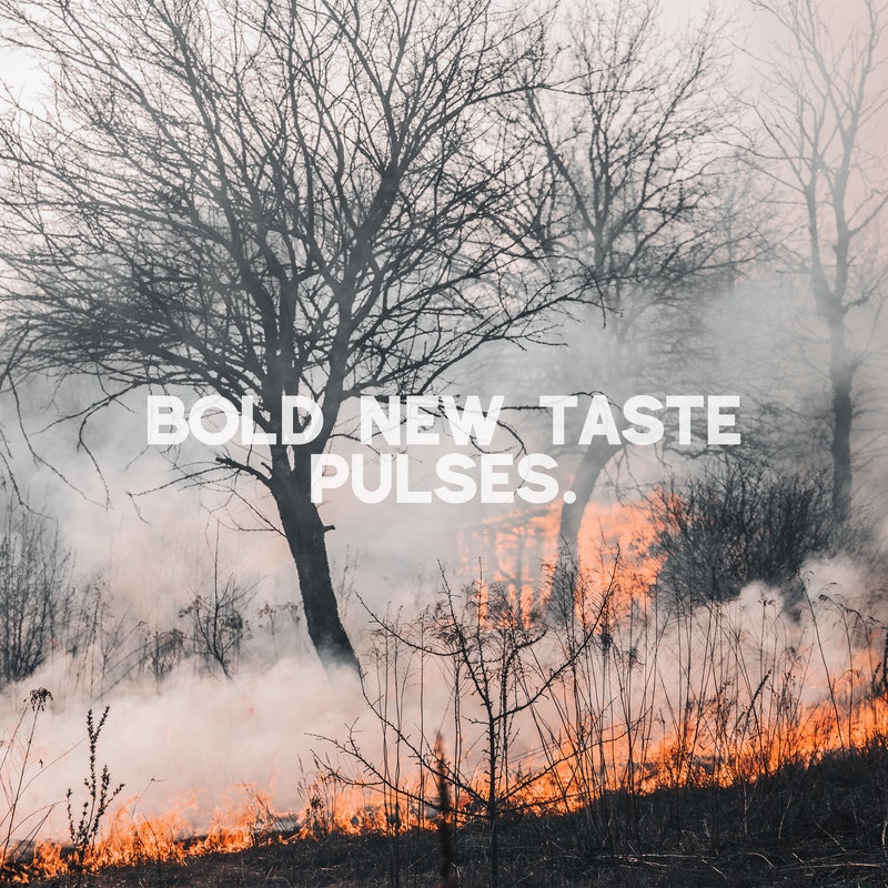 PULSES. - Bold New Taste cover 