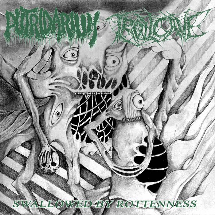 PUTRIDARIUM - Swallowed by Rottenness cover 