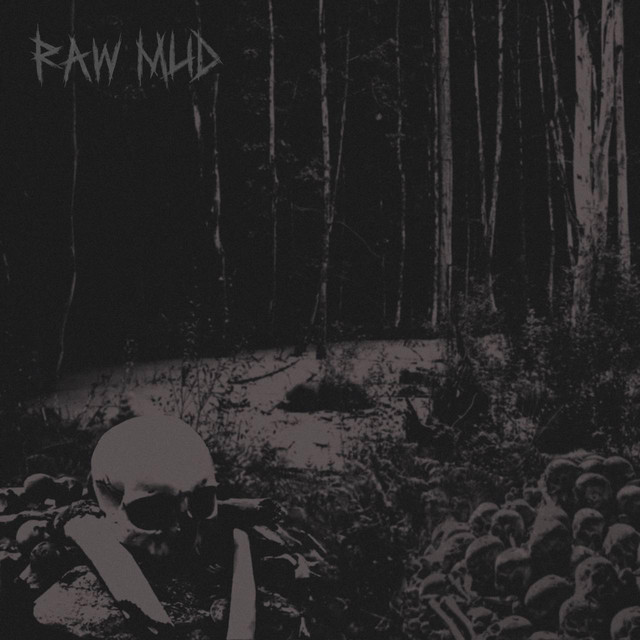 RAW MUD - Болото cover 