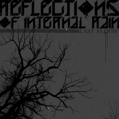 REFLECTIONS OF INTERNAL RAIN - Last Flood cover 