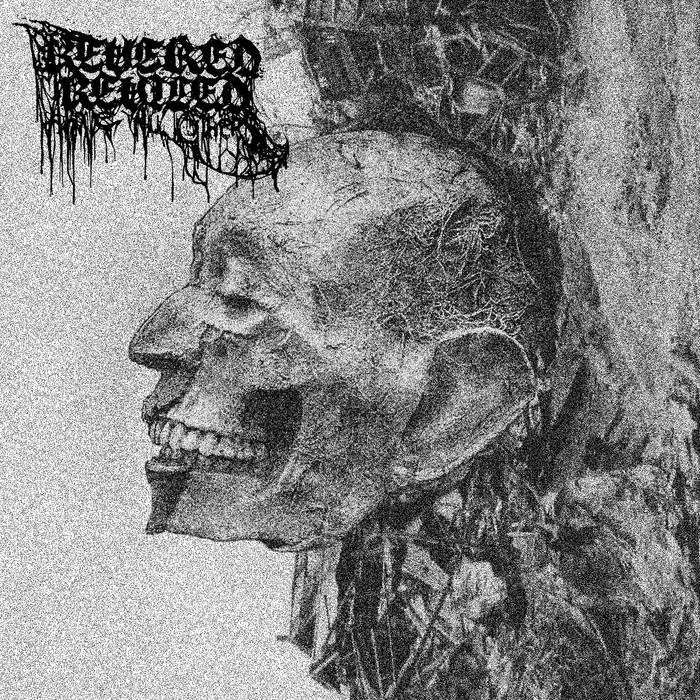 REVERED AND REVILED ABOVE ALL OTHERS - The Atrophy Of Empathy cover 