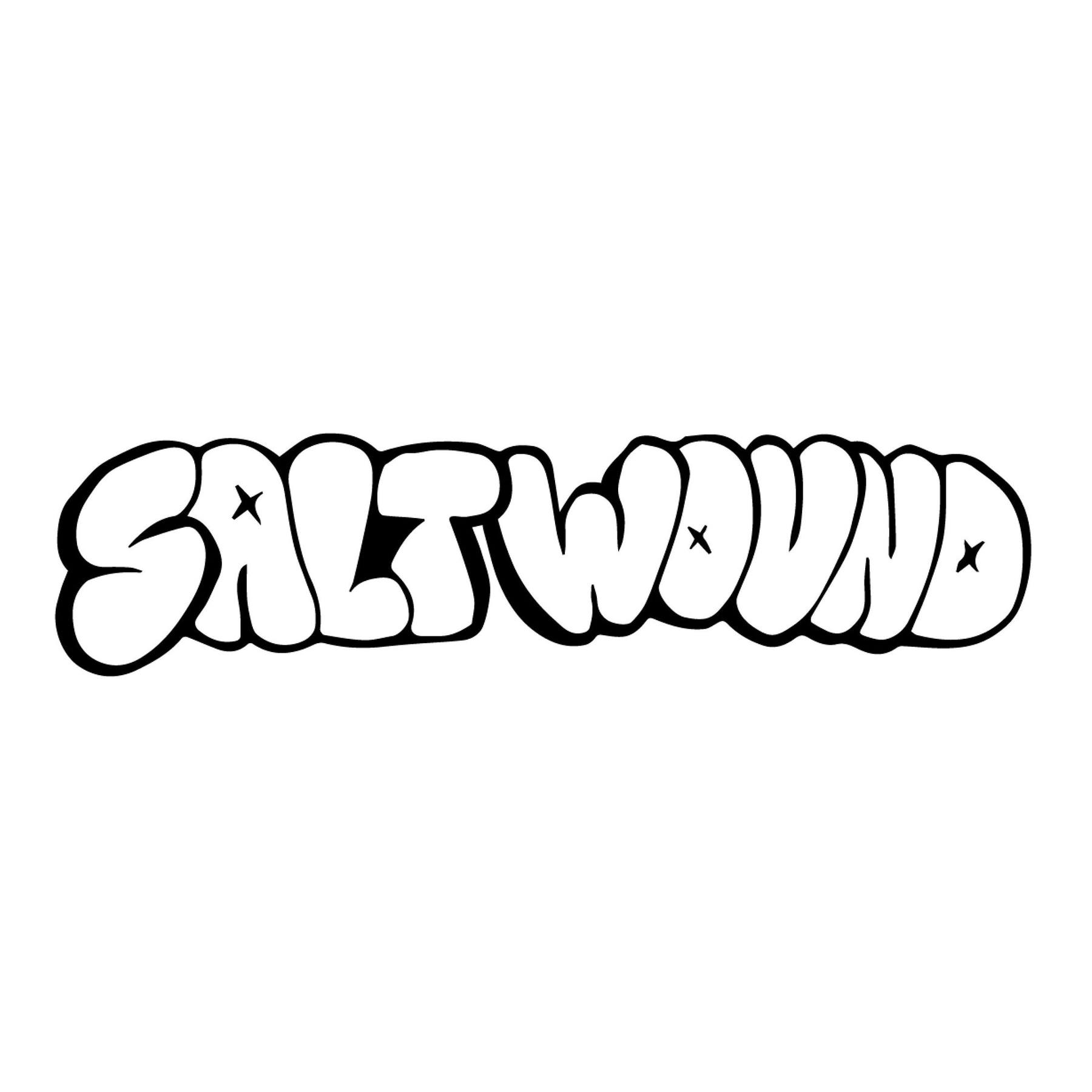 SALT WOUND (UK) - Demo 2016 cover 